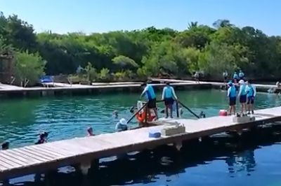Delfinarios permiten desarrollar investigaciones en Quintana Roo. VIDEO