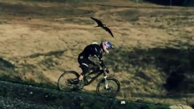 Campeón en bicicleta es perseguido por halcón. VIDEO