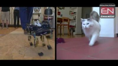 Crean robot con agilidad de gato.  VIDEO