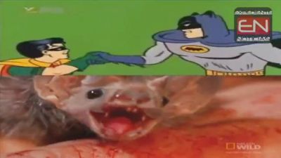 Tema de Batman con sonidos reales de murciélagos. VIDEO