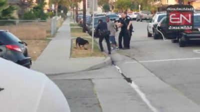 Policía mata a tiros a perro. VIDEO