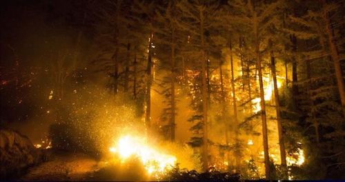 Incendio calcina casi 40 mil hectáreas cerca de un parque natural en EU