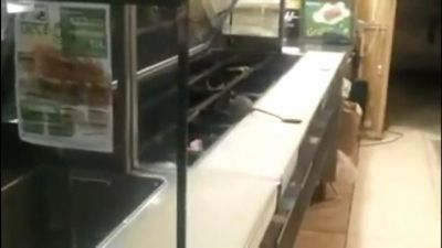 Captan a rata en barra de Subway. VIDEO